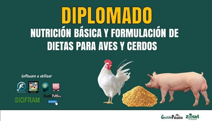 Diplomado Nutrición y formulación de Dietas para Aves y Cerdos