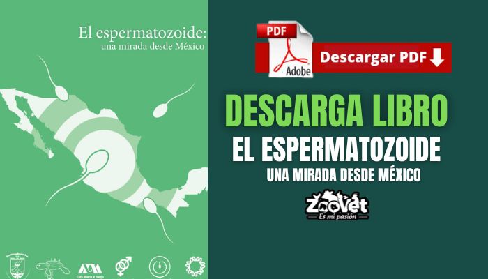 Libro El espermatozoide una mirada desde México
