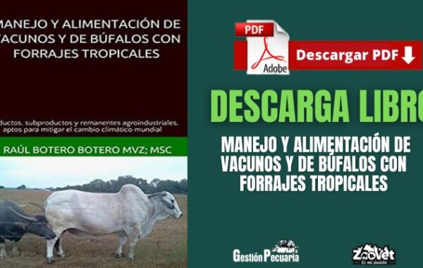 Manejo y alimentación de vacunos y de búfalos con forrajes tropicales