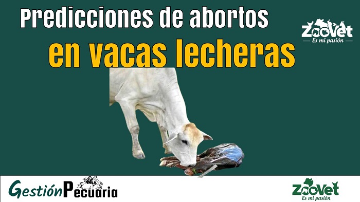 Predecciones de abortos en vacas lecheras