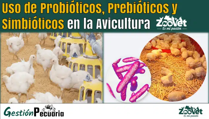 Uso de Probióticos Prebióticos y Simbióticos en la Avicultura