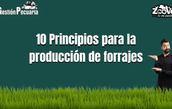 Principios para la producción de forrajes