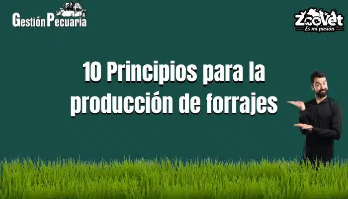 Principios para la producción de forrajes