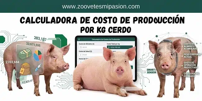 Calculadora de Costo de Producción por kg de Cerdo