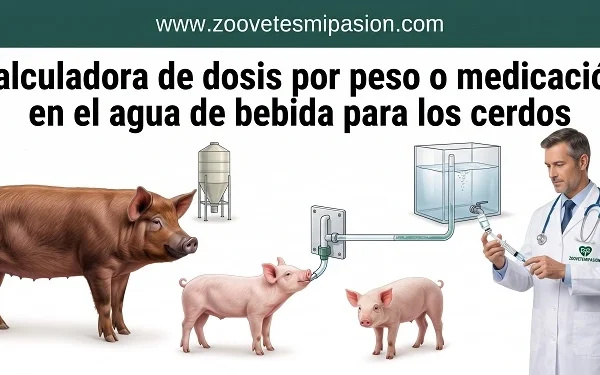 Dosis por Peso y Medicación en Agua de Bebida para Cerdos