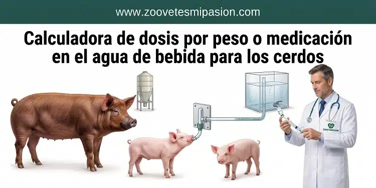 Dosis por Peso y Medicación en Agua de Bebida para Cerdos