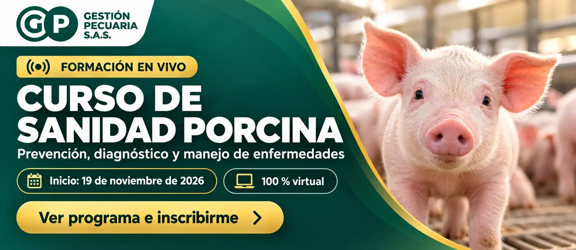Curso de Sanidad Porcina de Gestión Pecuaria. Prevención, diagnóstico y manejo de enfermedades. Clases virtuales en vivo. Inicio: 19 de noviembre de 2026. Ver programa e inscribirme.