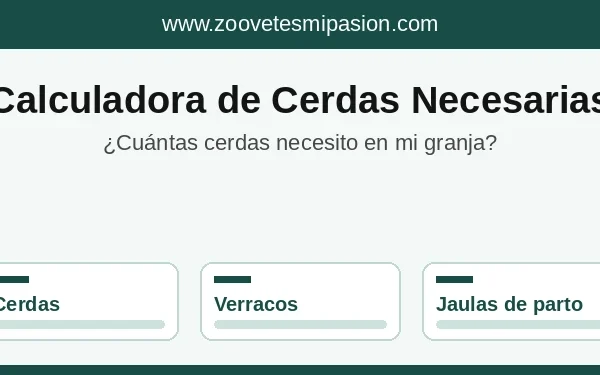 Calculadora de cerdas necesarias en una granja porcina