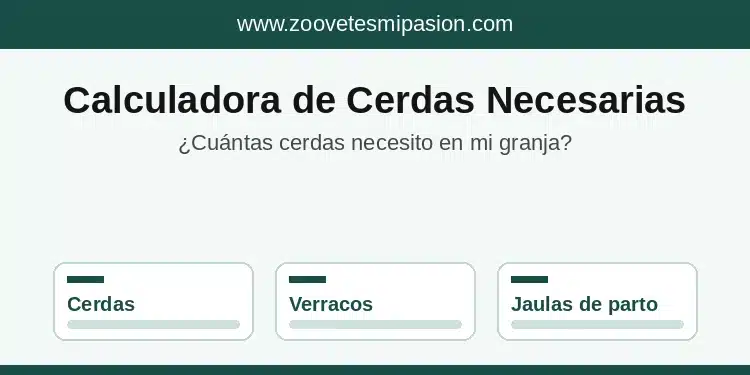 Calculadora de cerdas necesarias en una granja porcina